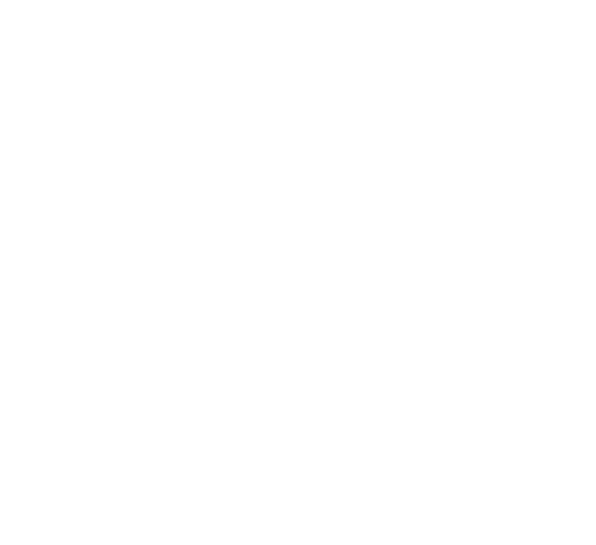 SolarQuotes Platinum rated installer logo