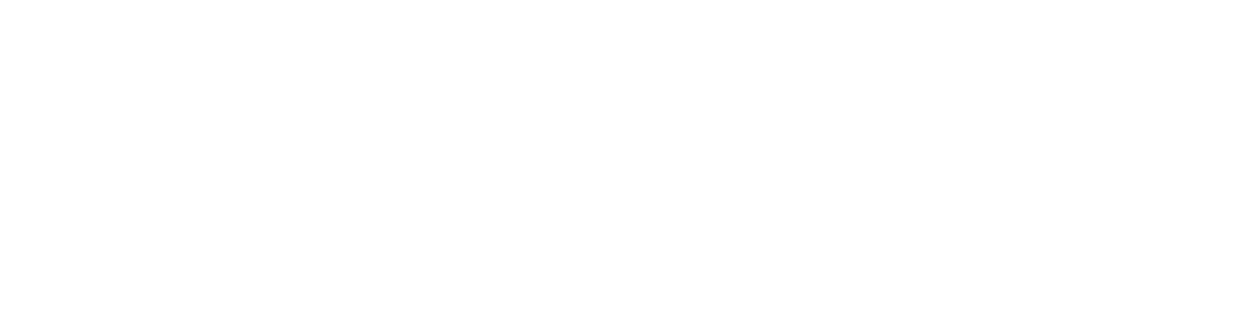 Platinum Solar Designs logo – white Platinum Solar Designs logo
